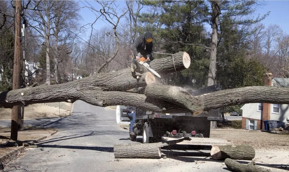 Professional residential landscaping for homes across Fresh Meadows, NY - Arnoldo's Tree Service