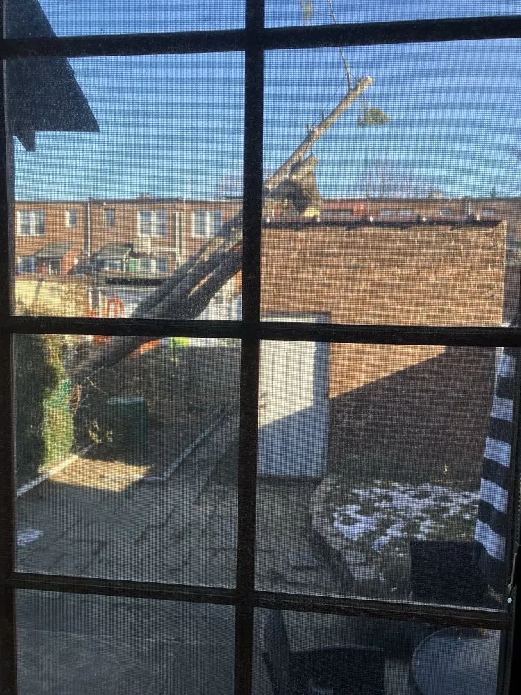 Local outdoor landscaping in Fresh Meadows, NY - Arnoldo's Tree Service