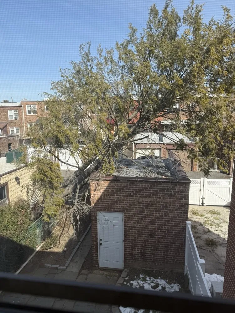 Affordable landscape design experts serving Fresh Meadows, NY - Arnoldo's Tree Service