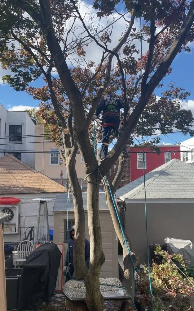 Top-rated landscape installation experts serving Fresh Meadows, NY - Arnoldo's Tree Service