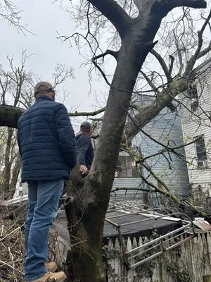 Arnoldo's Tree Service