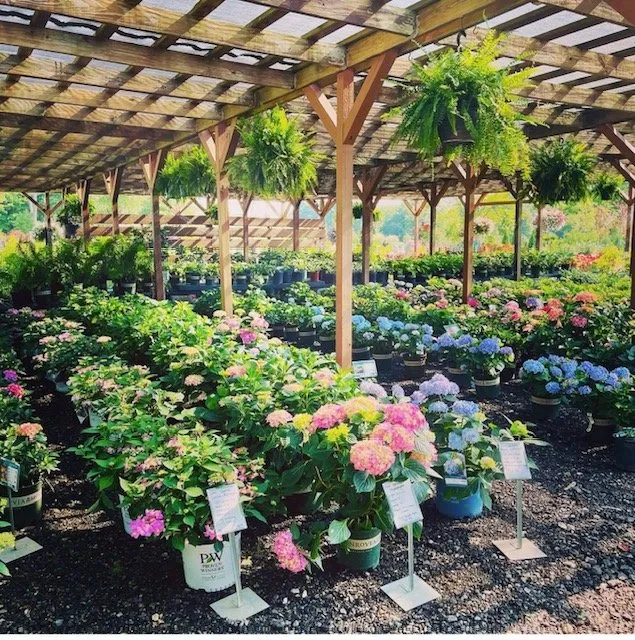 Expert yard maintenance with custom design in Mansfield, OH by Arnold's Landscaping and Garden Center