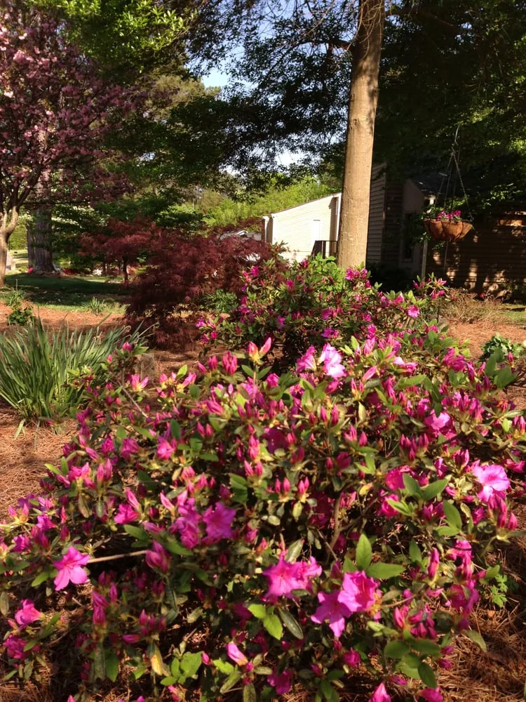 Local lawn care service in Marietta, GA by Arnold's Landscaping