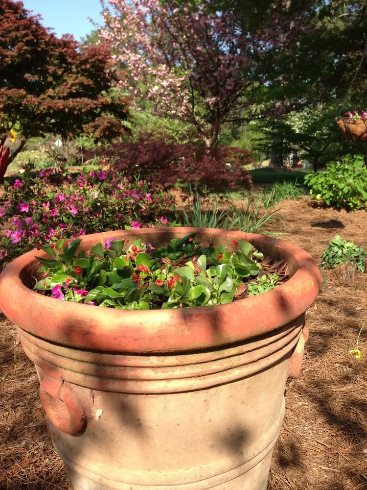 Local yard cleanup service experts serving Marietta, GA - Arnold's Landscaping