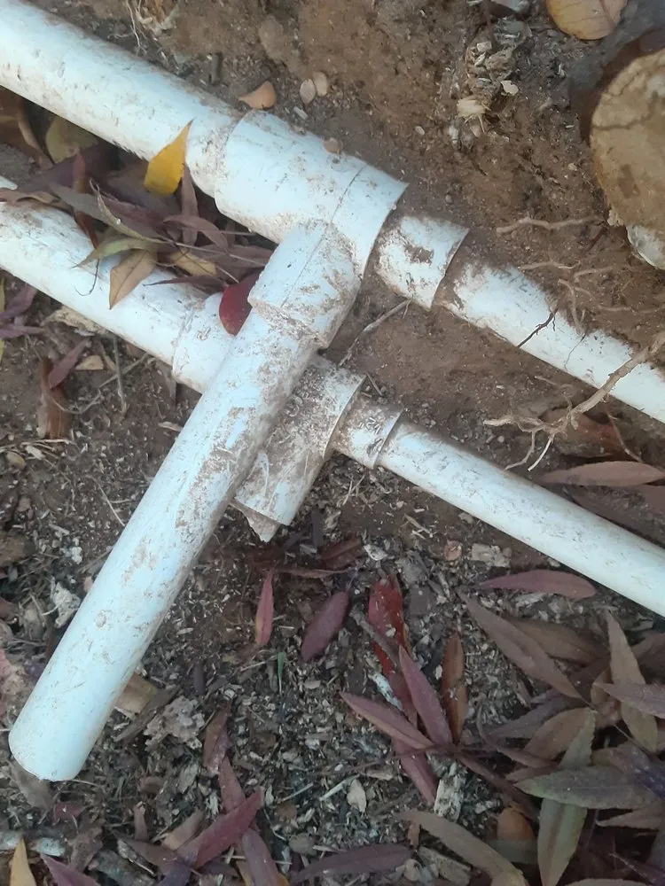 Reliable yard cleanup service in Fresno, CA by Arnold's Lawn Services