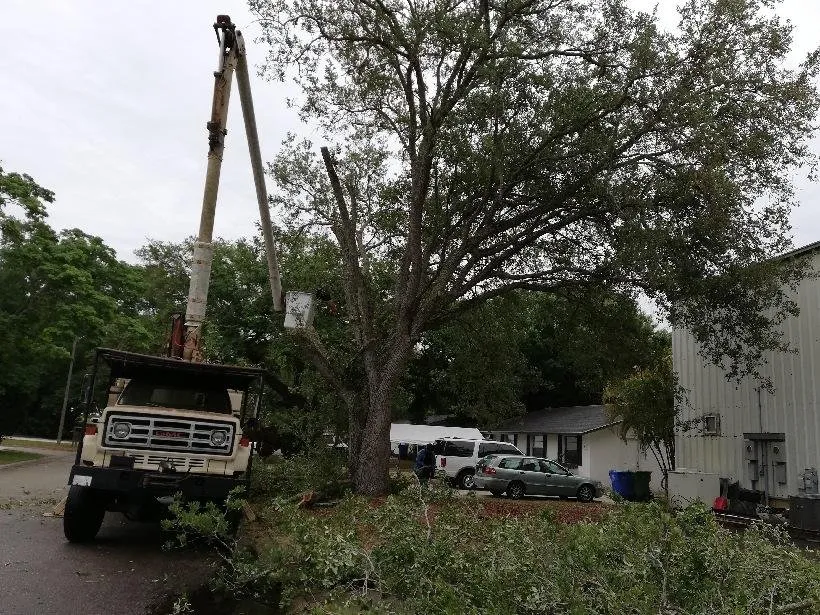 Professional landscape installation in Bradenton, FL - Arnold's Outdoor Solutions