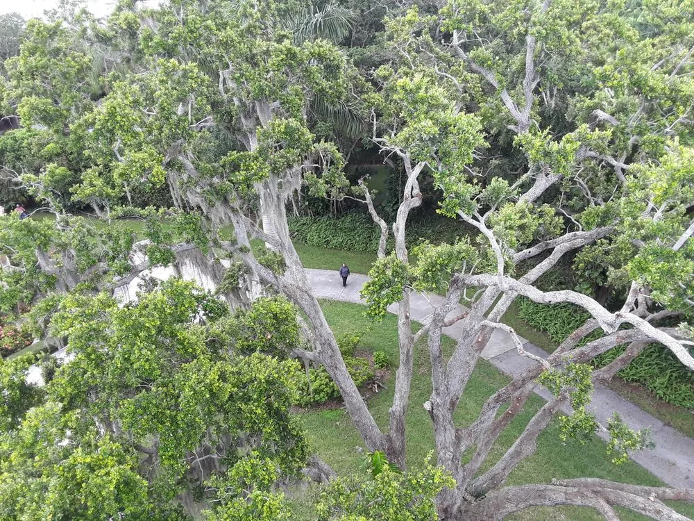 Trusted yard maintenance in Bradenton, FL by Arnold's Outdoor Solutions