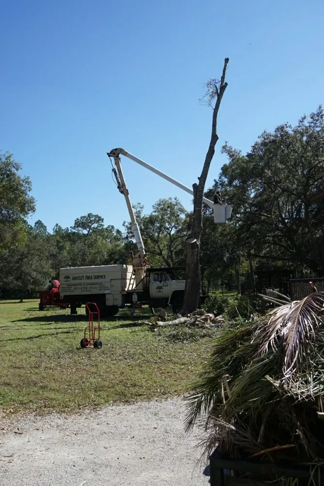 Reliable landscape design in Bradenton, FL - Arnold's Outdoor Solutions