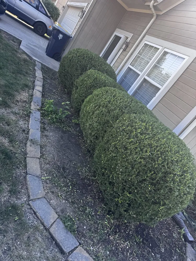 Reliable landscape design in Independence, MO by Arnold’s Reliable Lawncare