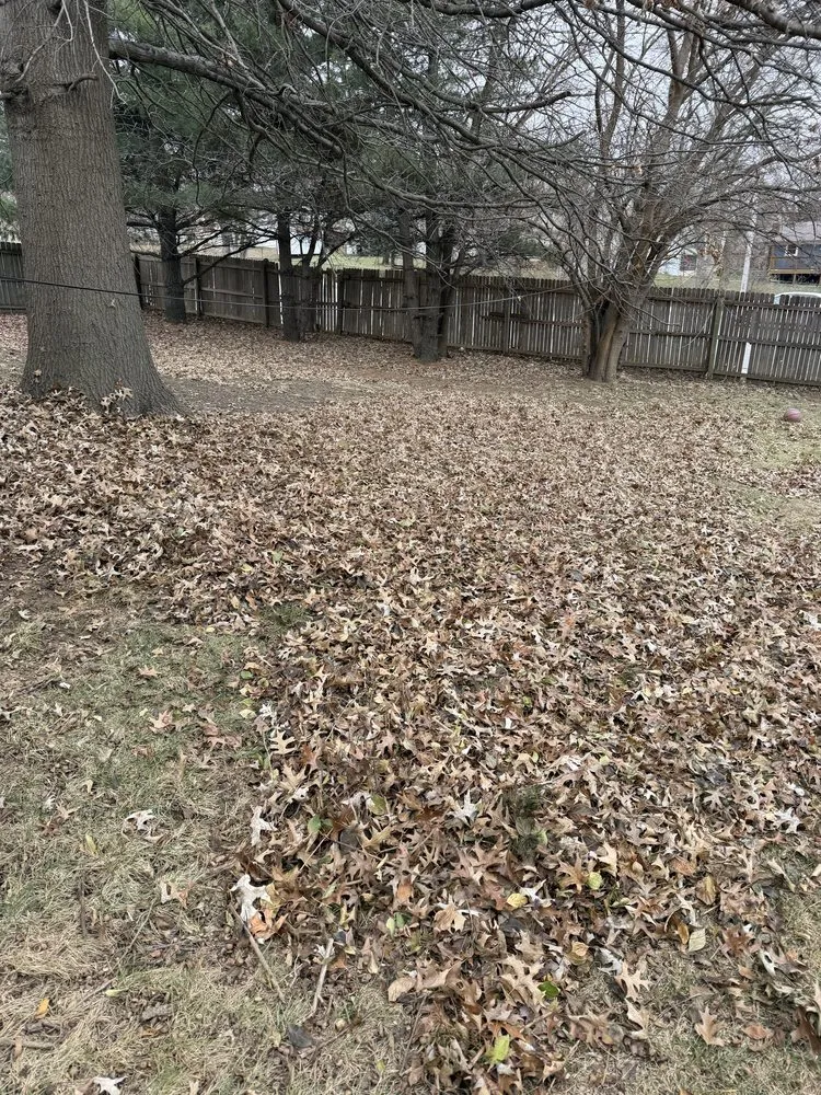 Top-rated yard maintenance in Independence, MO by Arnold’s Reliable Lawncare