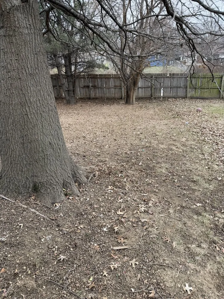 Reliable lawn care service experts serving Independence, MO - Arnold’s Reliable Lawncare