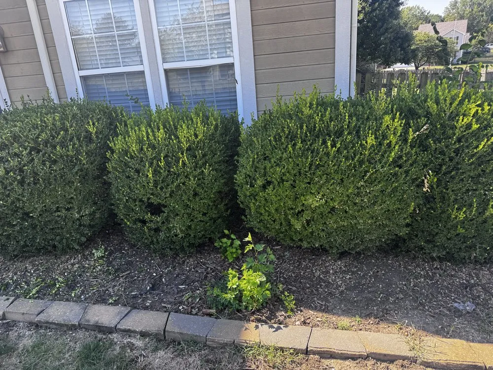 Expert yard maintenance experts serving Independence, MO - Arnold’s Reliable Lawncare