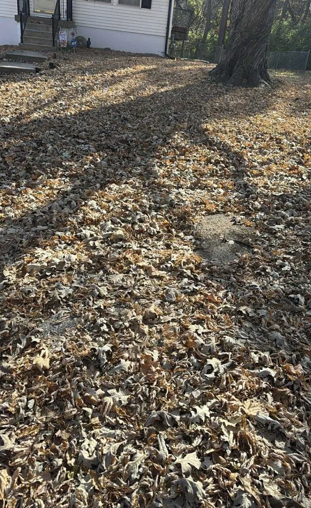 Expert garden landscaping experts serving Independence, MO - Arnold’s Reliable Lawncare