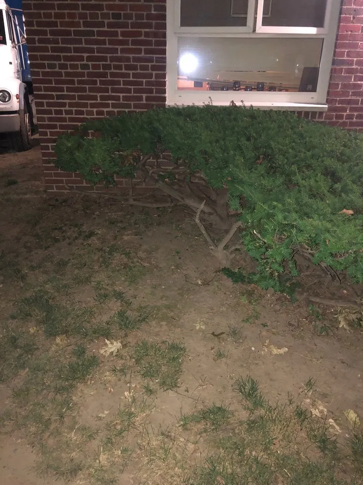 Expert garden landscaping experts serving Queens, NY - Arnold’s Tree Service