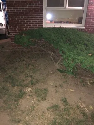 Arnold’s Tree Service Logo