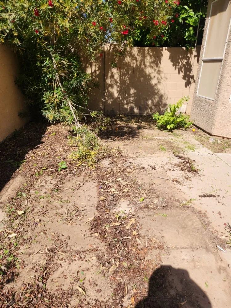 Affordable landscape installation experts serving Phoenix, AZ - Arnol's Lawn Services and Irrigation