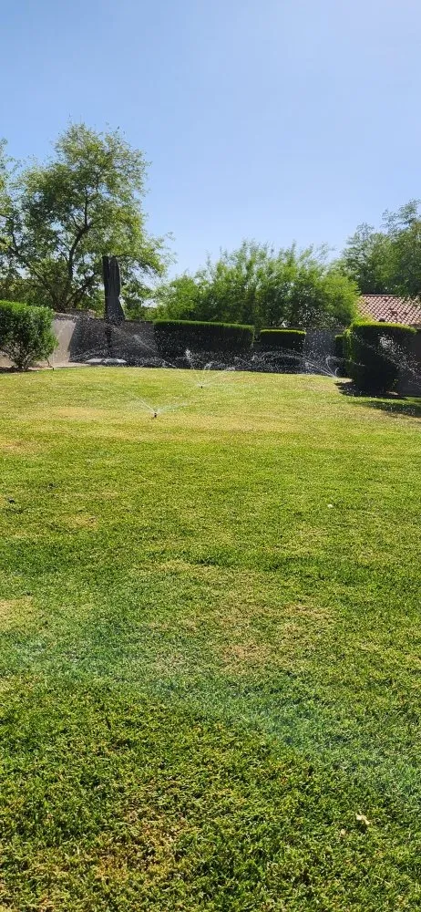 Custom landscape design for outdoor upgrades across Phoenix, AZ - Arnol's Lawn Services and Irrigation