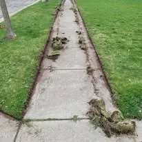 Custom lawn mowing service experts serving Springfield, MI - Arn's Lawn Maintenance