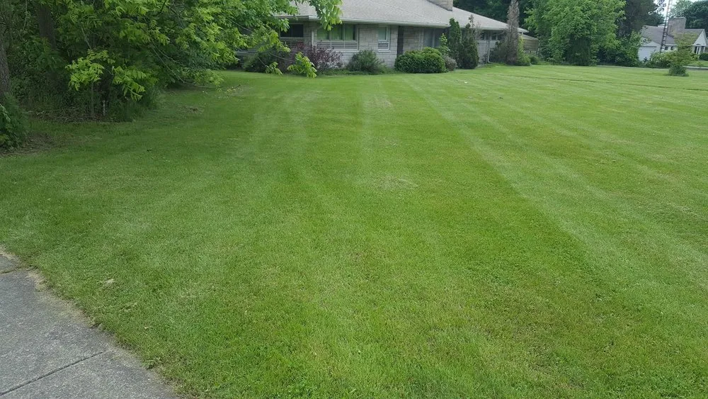 Trusted yard maintenance experts serving Springfield, MI - Arn's Lawn Maintenance
