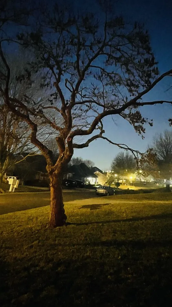 Expert landscape design in Leawood, KS - Arntson Thē Arborist