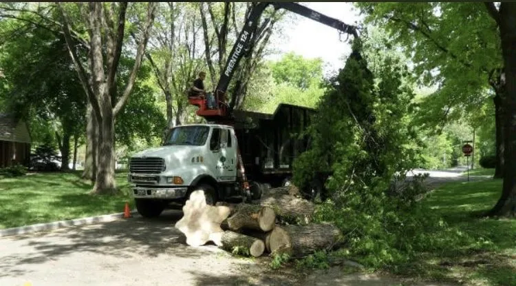 Reliable landscape design in Leawood, KS - Arntson Thē Arborist