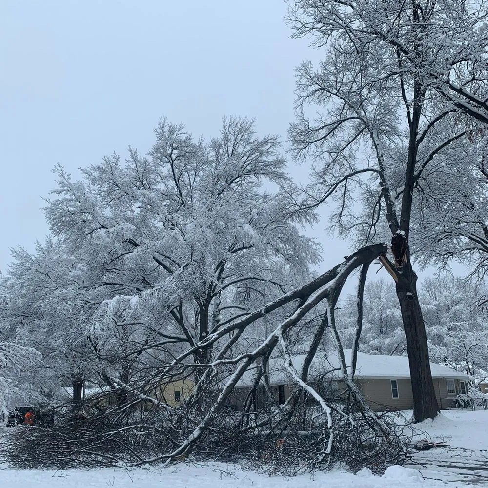 Reliable landscape installation in Leawood, KS - Arntson Thē Arborist