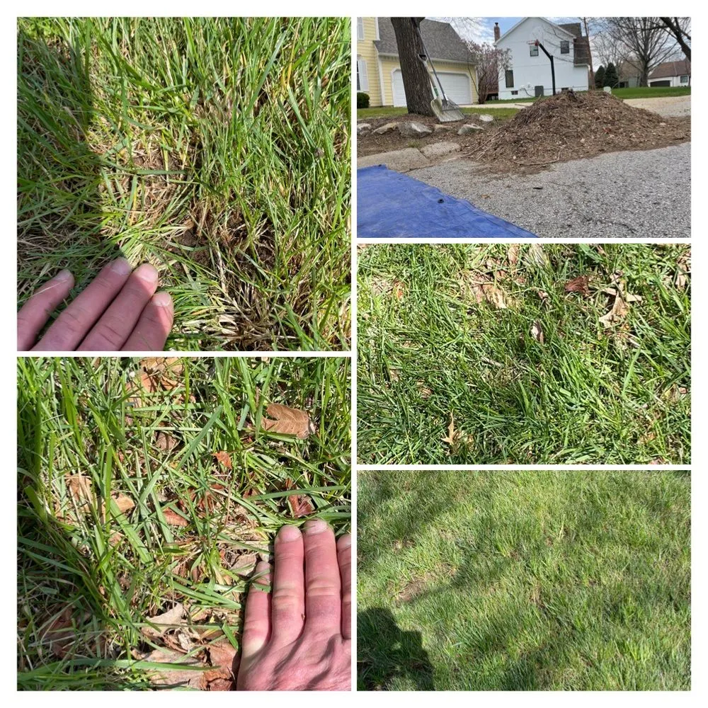 Local yard cleanup service for outdoor upgrades in Leawood, KS by Arntson Thē Arborist