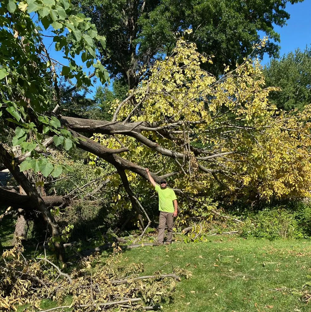 Expert landscape installation for year-round maintenance in Leawood, KS by Arntson Thē Arborist