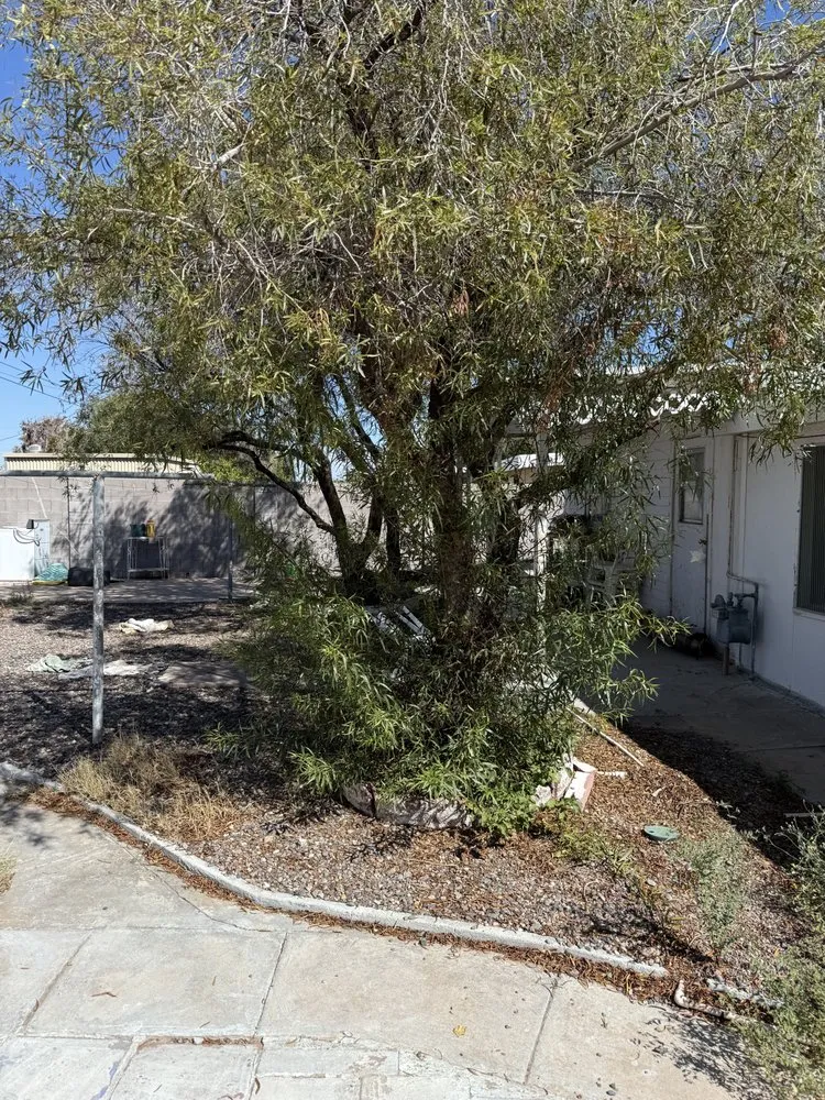 Reliable lawn mowing service in El Mirage, AZ - ARO Landscape and Junk Removal