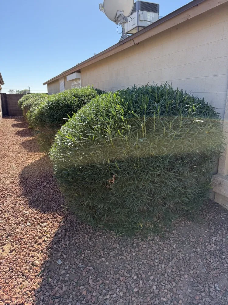 Custom garden landscaping experts serving El Mirage, AZ - ARO Landscape and Junk Removal