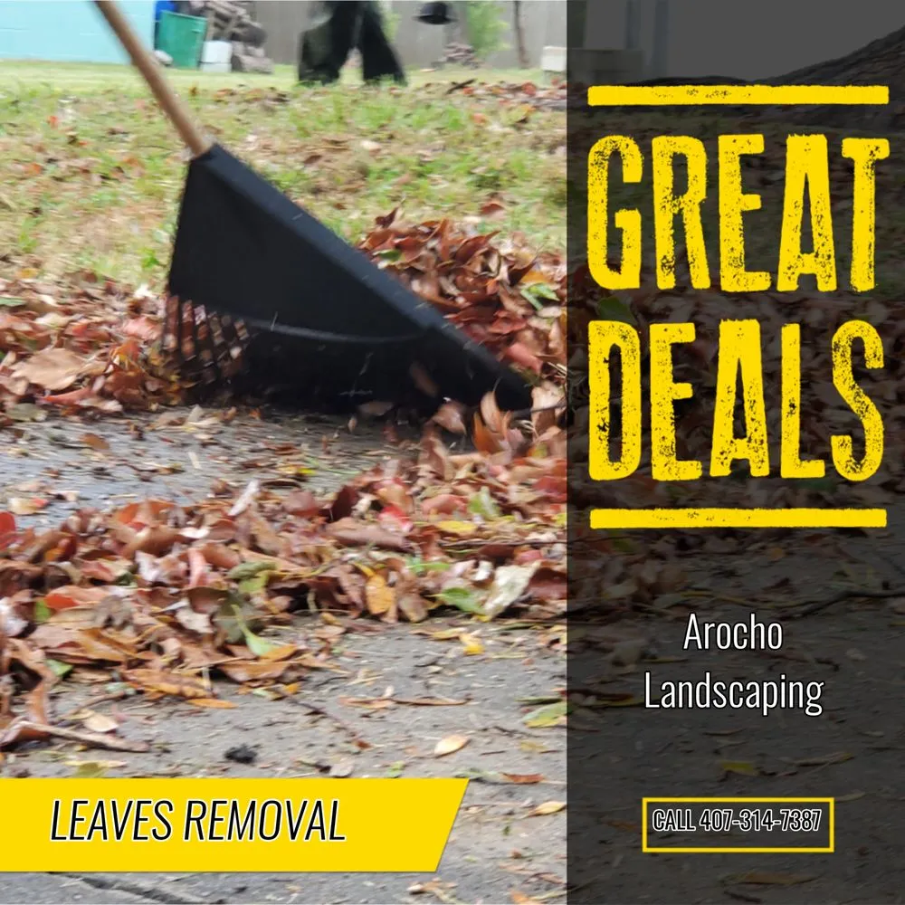 Local residential landscaping for outdoor upgrades across Sanford, FL - Arocho Landscaping