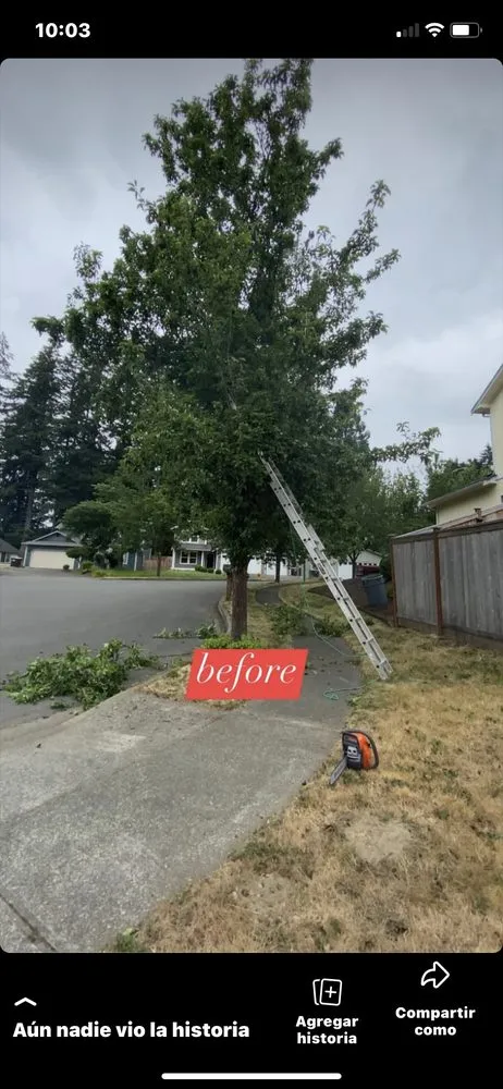 Professional landscape installation for outdoor upgrades across Shelton, WA - Aroldo Matias Landscaping