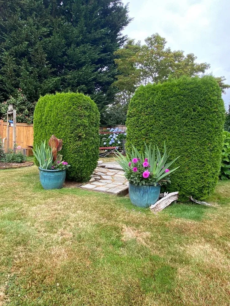 Trusted lawn care service for homes across Shelton, WA - Aroldo Matias Landscaping