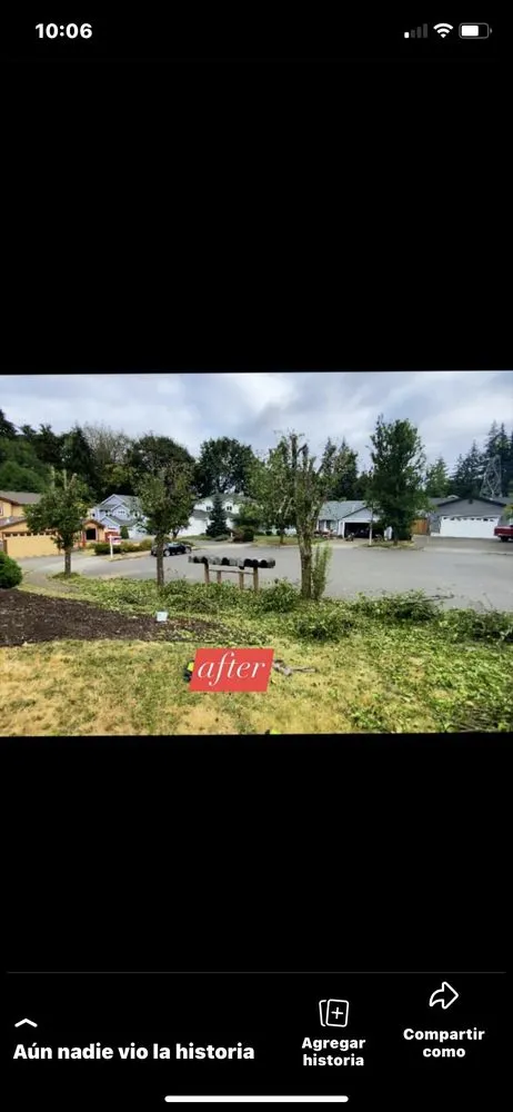 Expert residential landscaping experts serving Shelton, WA - Aroldo Matias Landscaping