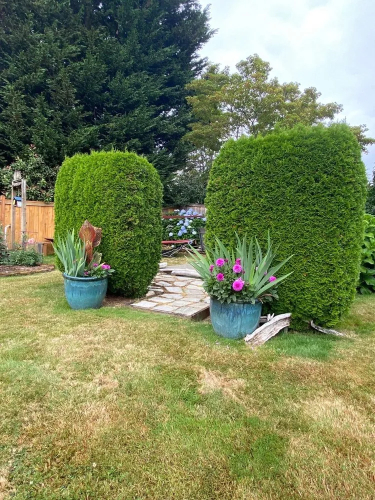 Expert lawn care service in Shelton, WA by Aroldo Matias Landscaping