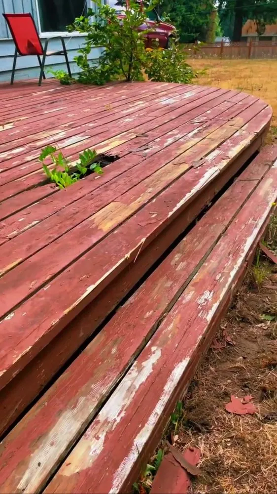 Reliable landscaping services in Shelton, WA by Aroldo Matias Landscaping