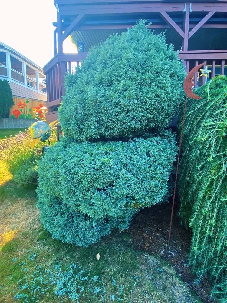 Custom landscaping services in Shelton, WA - Aroldo Matias Landscaping