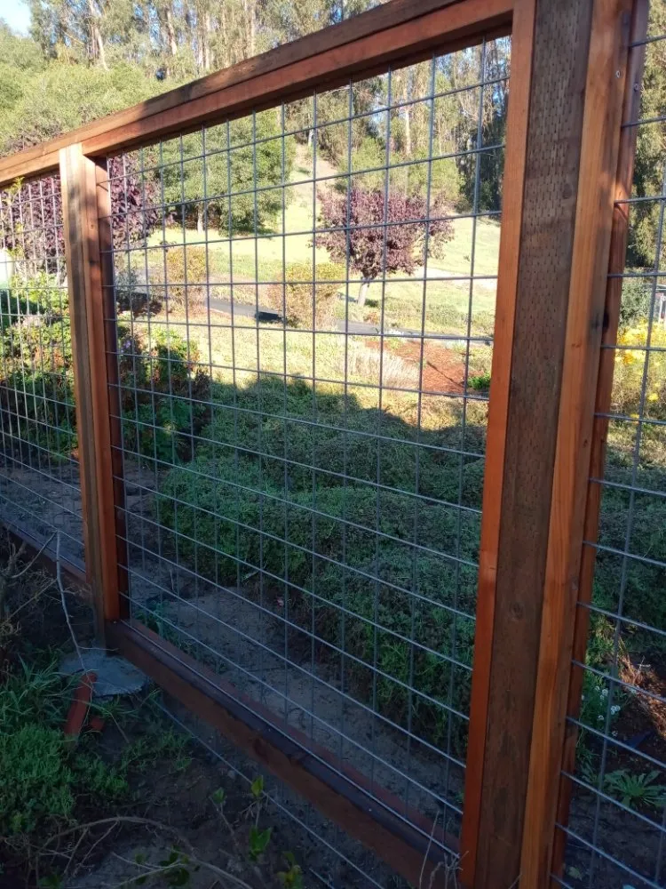 Affordable lawn mowing service for year-round maintenance in Aromas, CA by Aromas Garden Landscaping