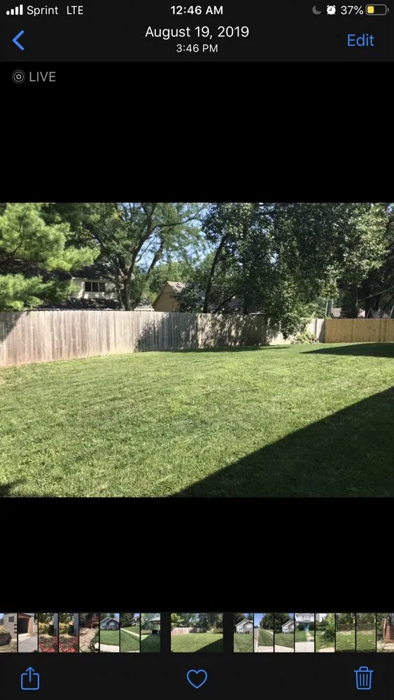 Affordable yard cleanup service in Sugar Creek, MO - Aron & Sons Lawn Care