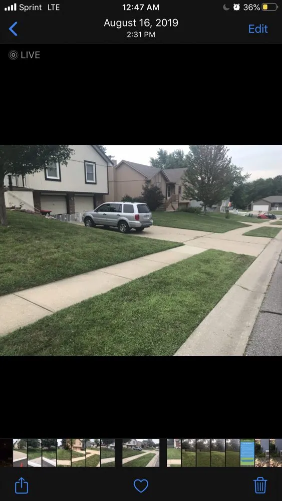 Top-rated landscaping services for outdoor upgrades in Sugar Creek, MO by Aron & Sons Lawn Care