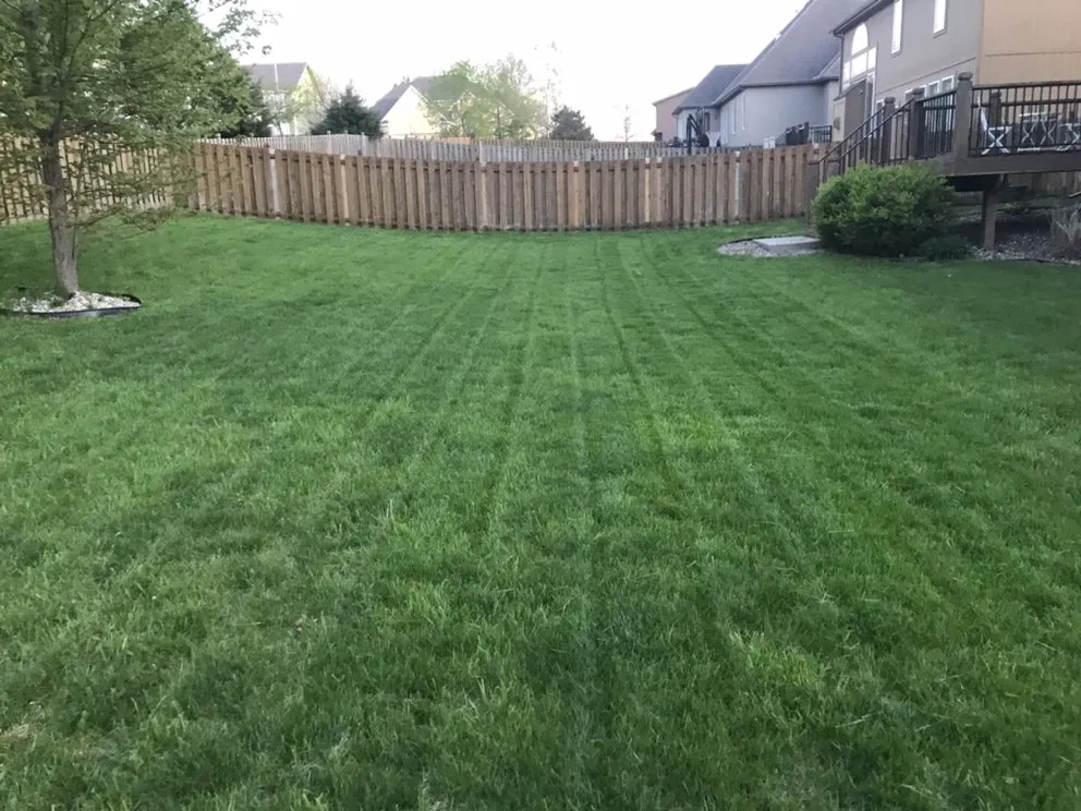 Custom yard maintenance experts serving Sugar Creek, MO - Aron & Sons Lawn Care