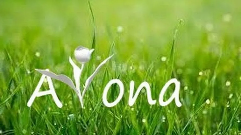 Reliable yard maintenance experts serving Omaha, NE - Arona Lawn Care
