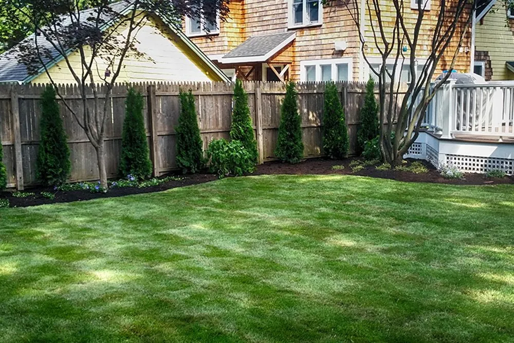 Expert landscape installation in East Setauket, NY by Aronica Plant Health Care