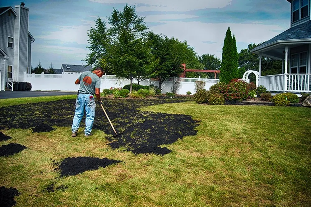 Reliable landscaping services in East Setauket, NY by Aronica Plant Health Care