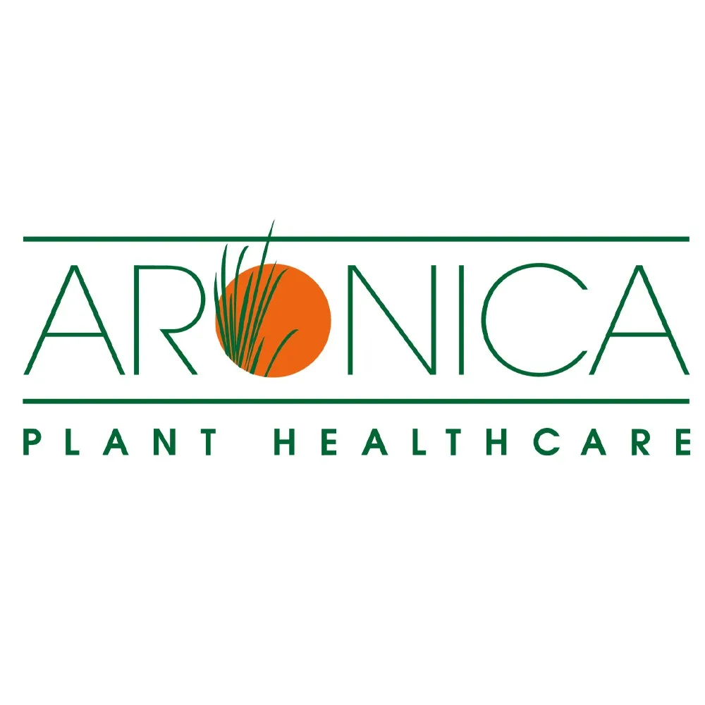 Custom landscaping services in East Setauket, NY - Aronica Plant Health Care