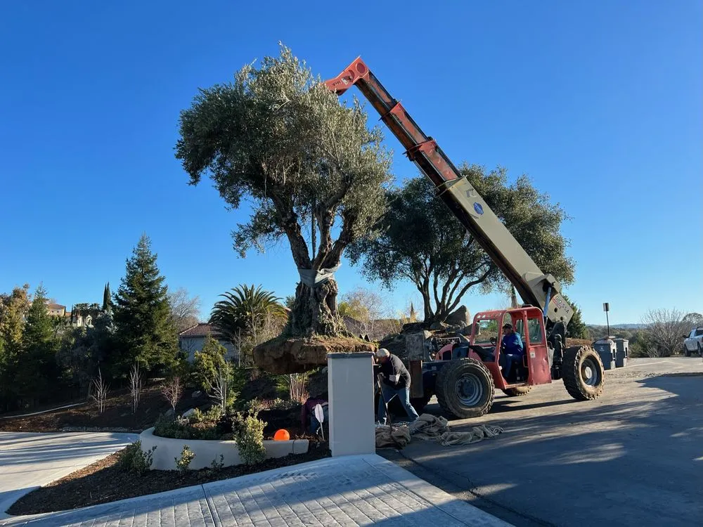 Local landscape installation near you across Auburn, CA - Aronson Landscape