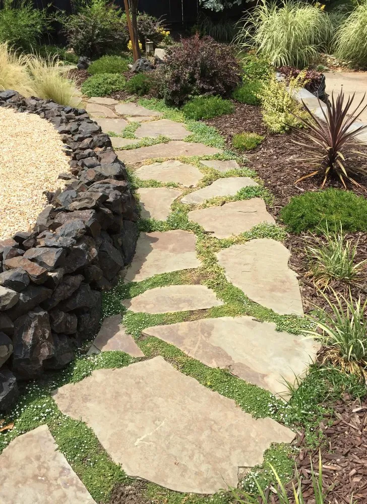 Reliable yard maintenance for year-round maintenance in Auburn, CA by Aronson Landscape