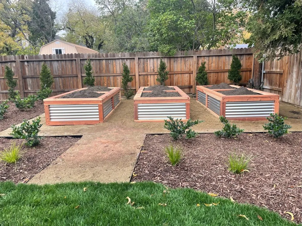 Top-rated yard cleanup service in Auburn, CA - Aronson Landscape