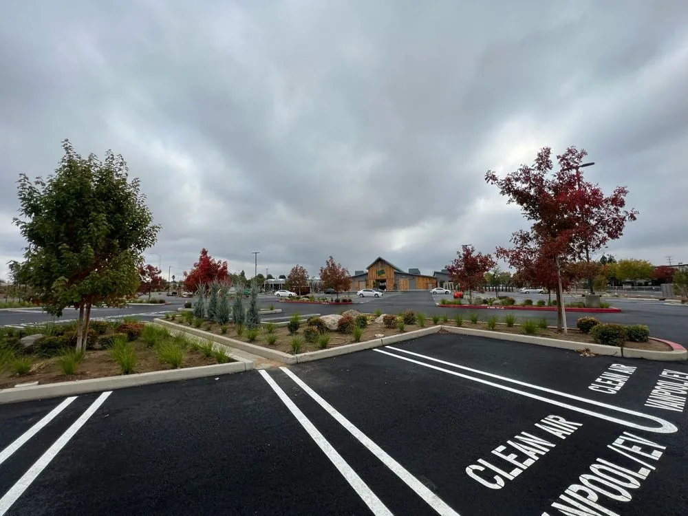 Expert landscaping services in Auburn, CA by Aronson Landscape