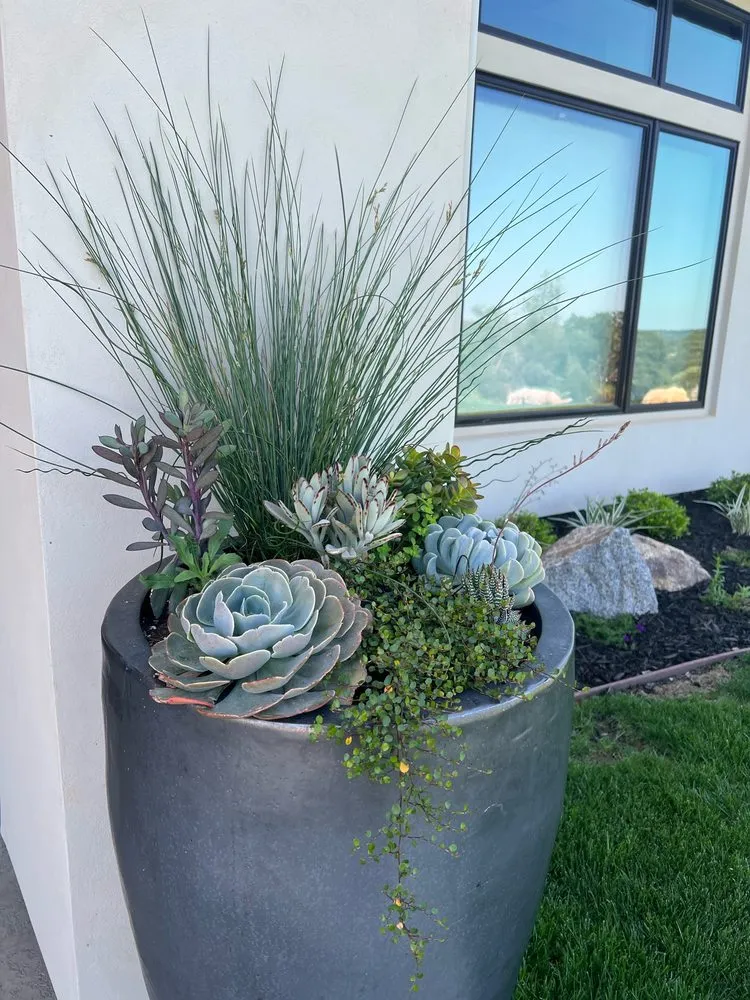 Local landscape installation for outdoor upgrades across Auburn, CA - Aronson Landscape